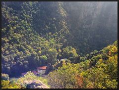 ...wenn die Sonne tief ins Bodetal scheint...