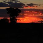 " ....  wenn die Sonne untergeht,in Afrika."