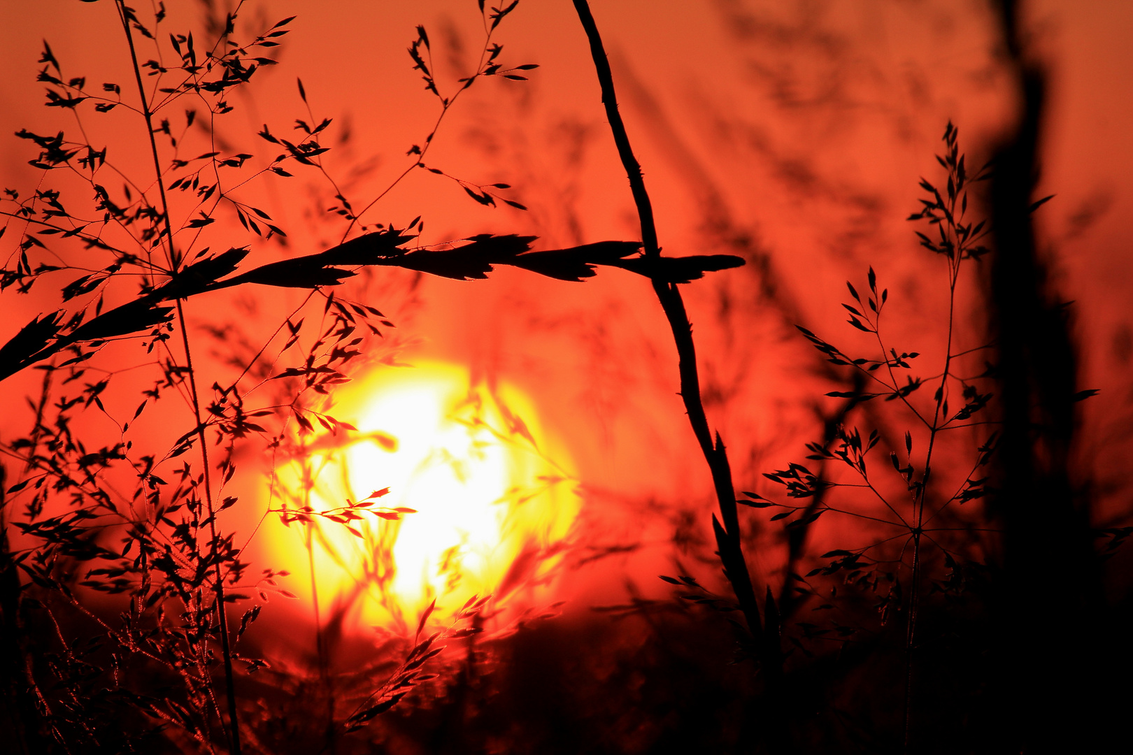 Wenn die Sonne verschwindet