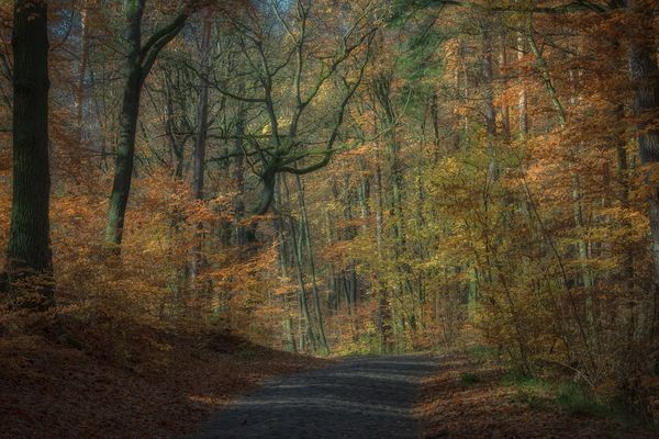 Wenn die Straße auch nicht schön ist ..