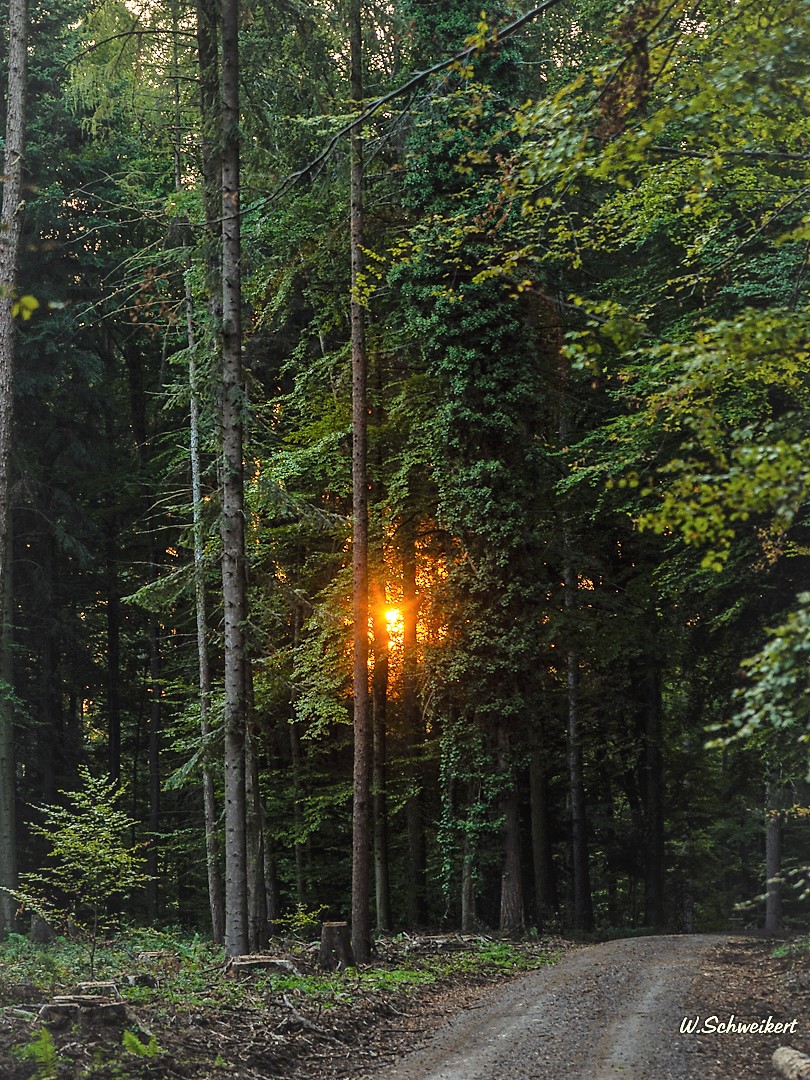 Wenn die Untergehende Sonne