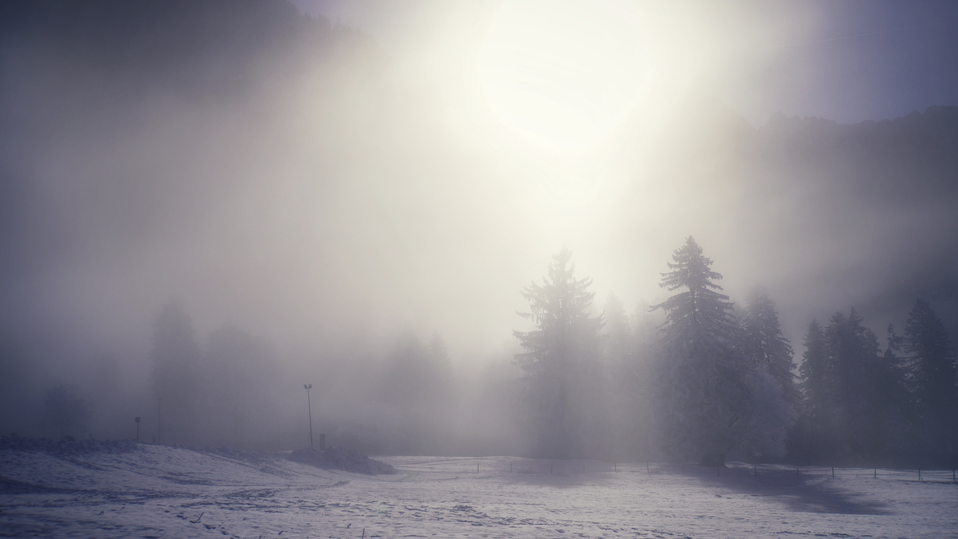 Wenn die Vision sich noch mit dem Nebel der Unklarheit verhüllt