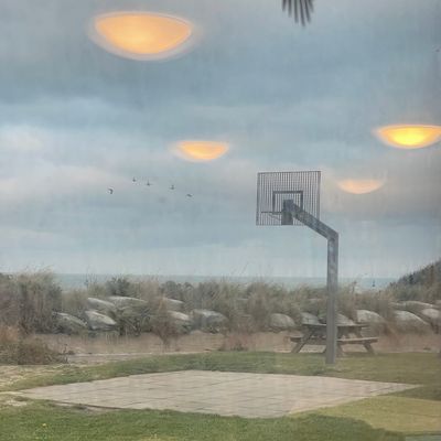 Wenn die Vögel Kryptons…