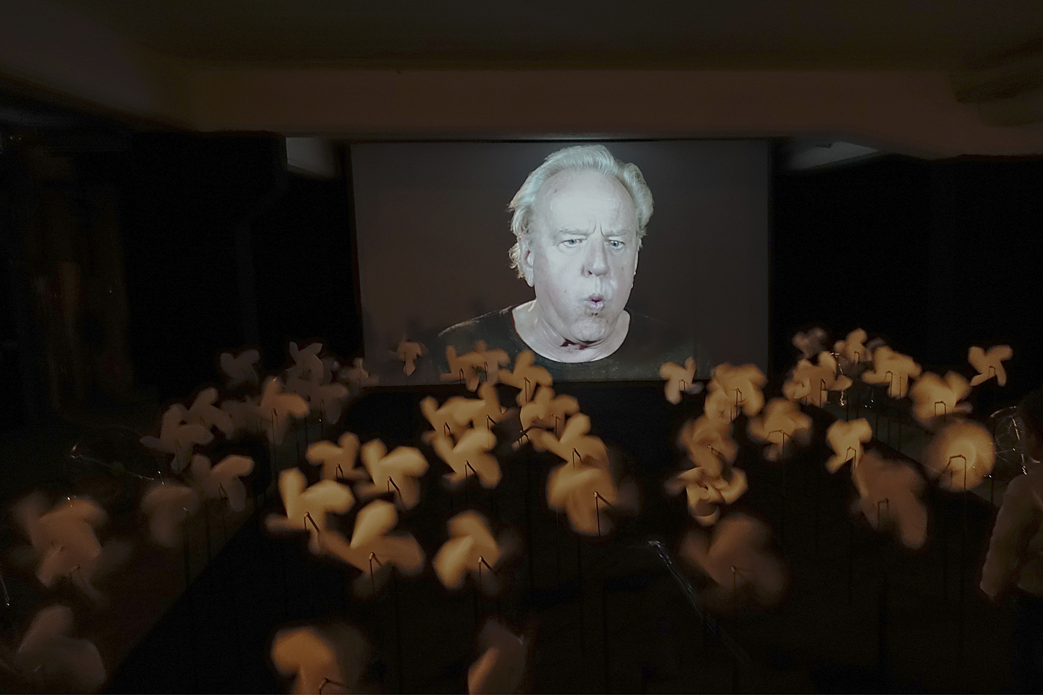 Wenn die Winde wehen