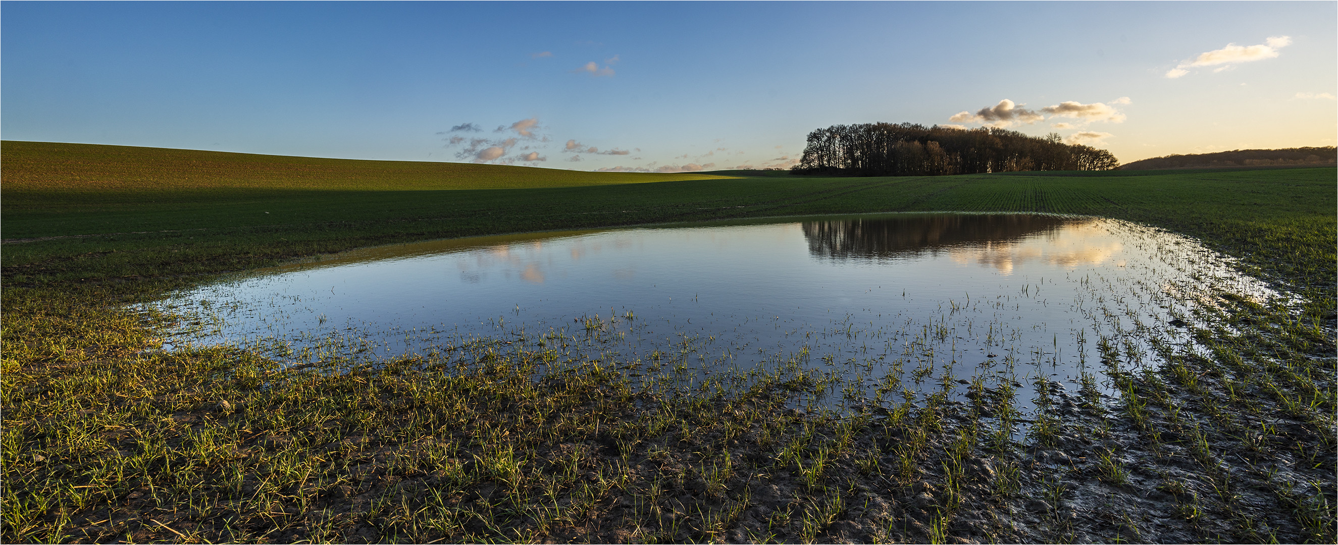 … Wenn die Wintersaat baden geht …