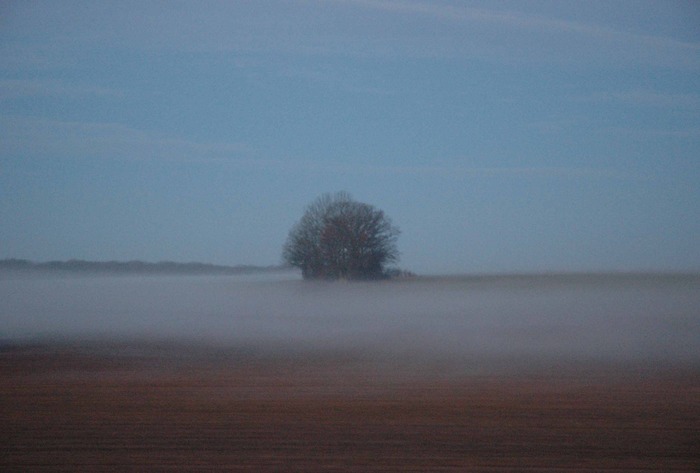 Wenn die Wolke sich sanft auf die Erde legt