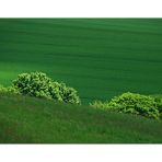 ...wenn die Wolken übers grüne Land ziehen... - oder: Natur und Kultur