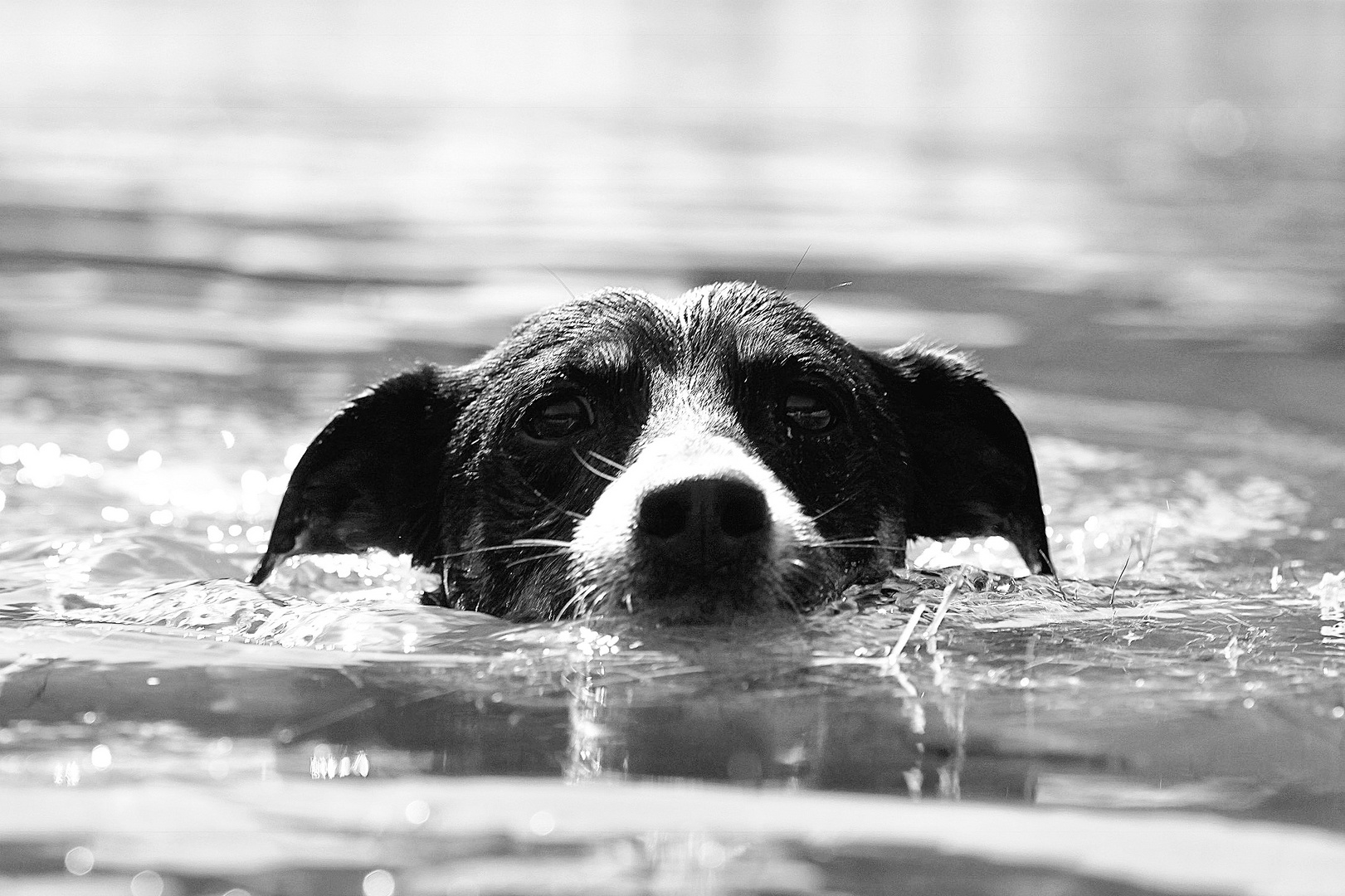 Wenn dir das Wasser bis zum Hals steht....