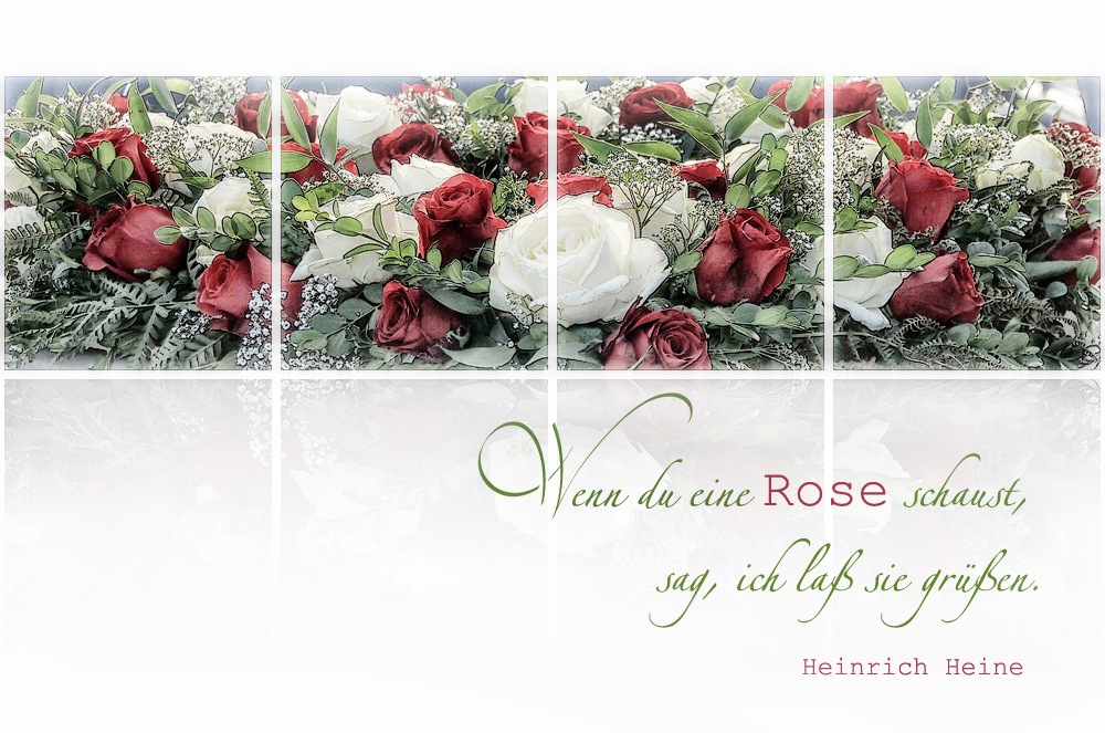 WENN DU EINE ROSE SCHAUST .....