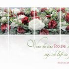 WENN DU EINE ROSE SCHAUST .....