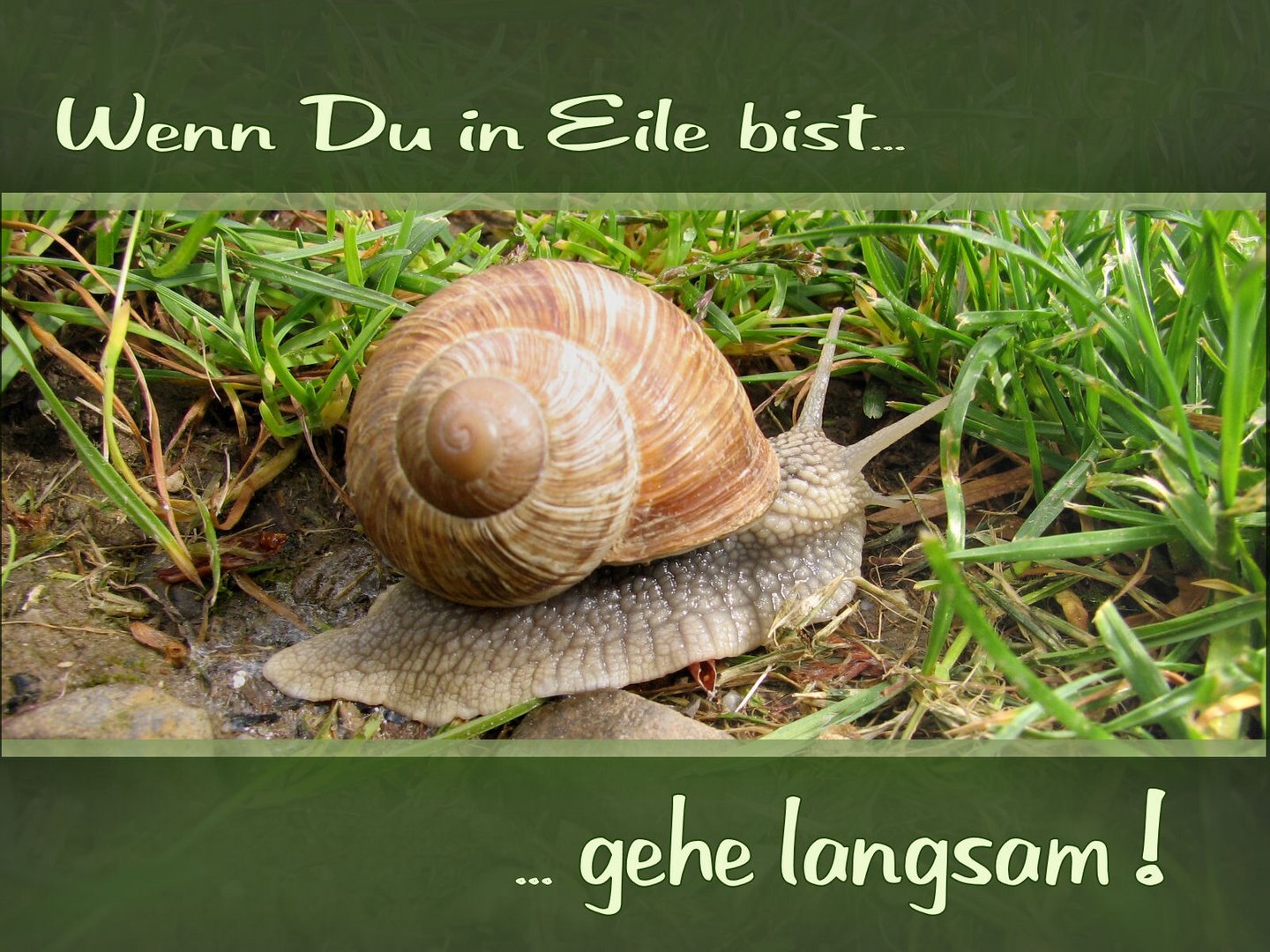 Wenn du in Eile bist