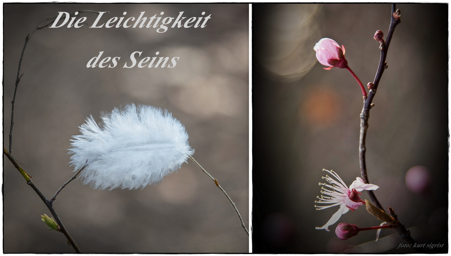 Wenn Du Jemanden Ohne Lächeln Siehst Schenk Ihm Deins www.fotocommunity.de