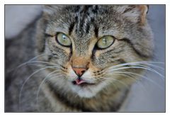 Wenn du noch einen Schritt näher kommst...