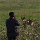 Wenn ein Freund ein Reh fotografieren möchte ...