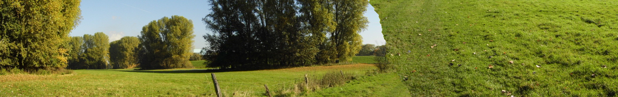 wenn ein Panorama schief geht