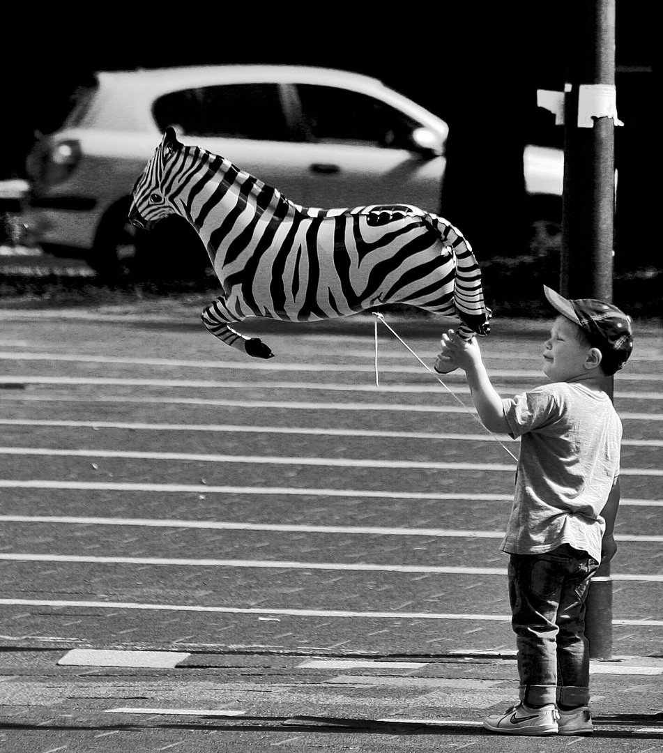 Wenn ein Zebra........