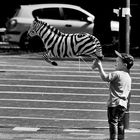 Wenn ein Zebra........