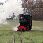 Wenn eine kleine Dampflok alleine im Park spazieren geht ;) ....