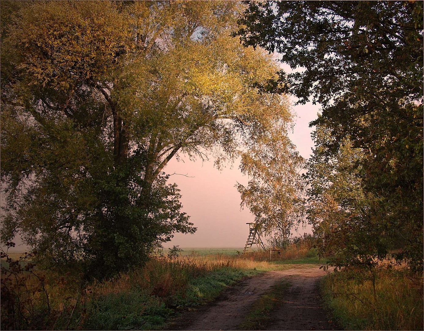 wenn erst der Abend kommt Foto &amp; Bild | landschaft, wege und pfade