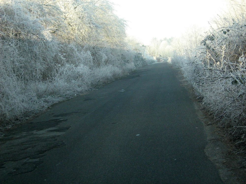 Wenn erst der Frost kommt