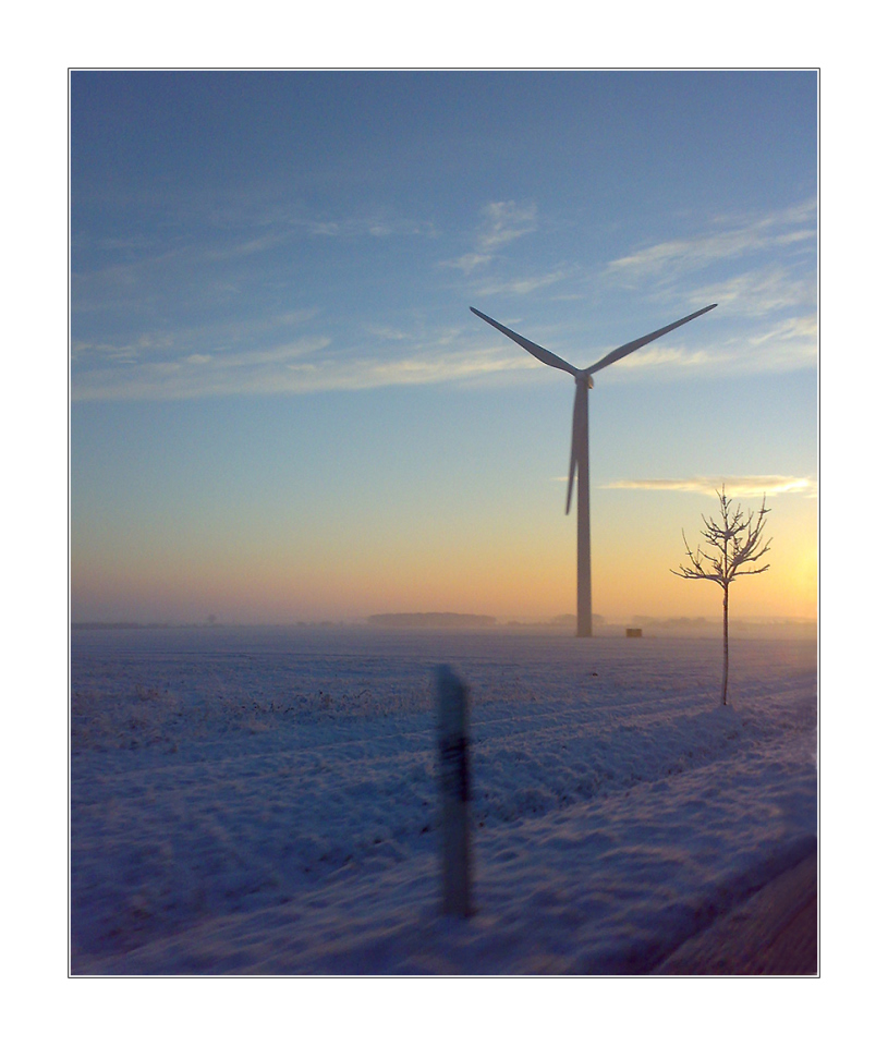 wenn erstes Licht im März die Altmark weckt