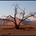 Wenn es Abend wird in der Namib