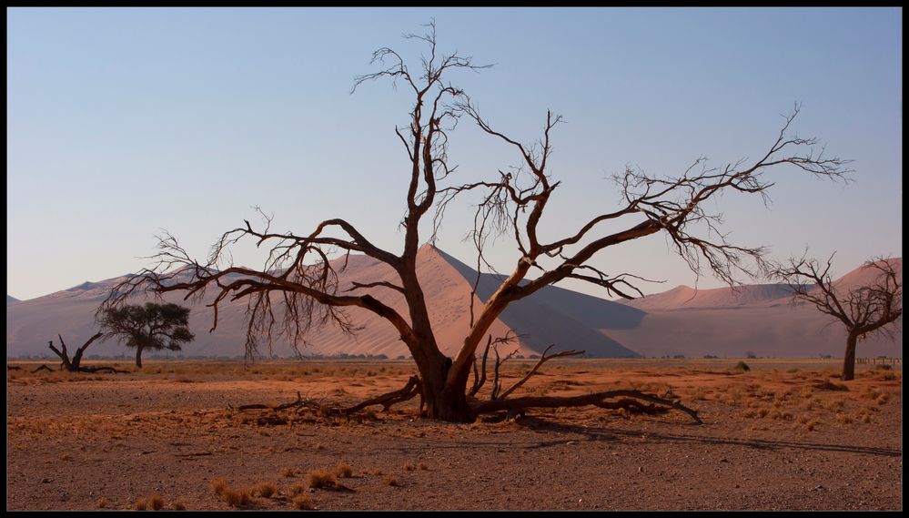 Wenn es Abend wird in der Namib