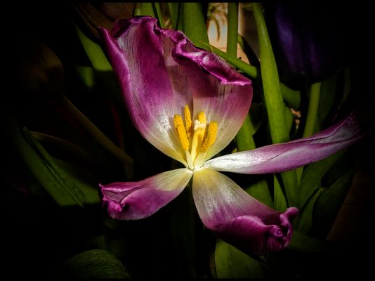 WENN ES DEM ENDE ZUGEHT.....