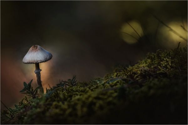 wenn es dunkel wird …..