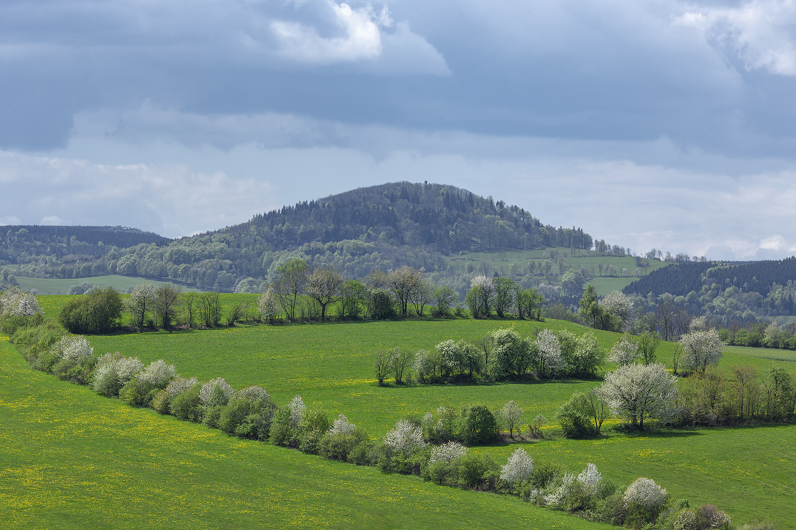 Wenn es Frühling am Geisingberg wird