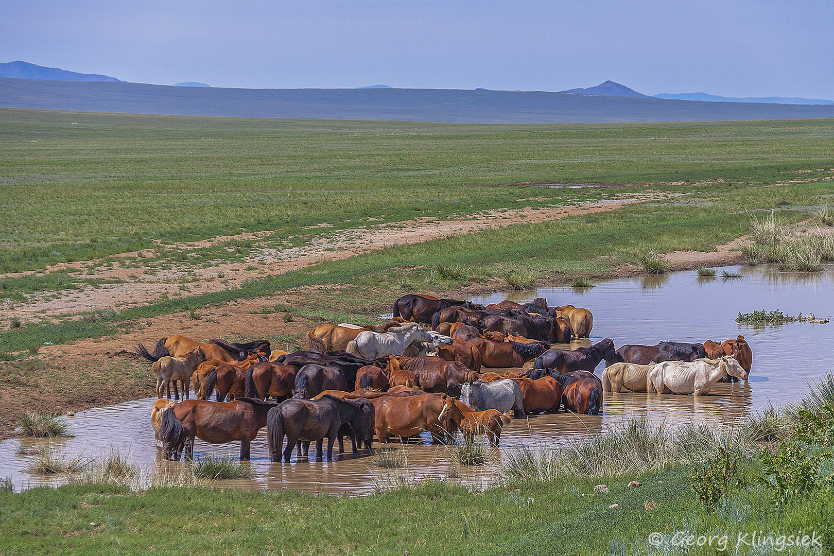 Wenn es heiß wird in der Steppe … 