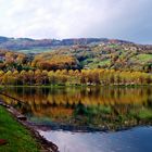 Wenn es Herbst wird am Stubenbergsee