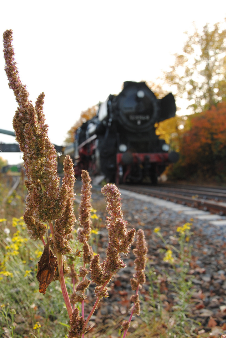 Wenn es Herbst wird...