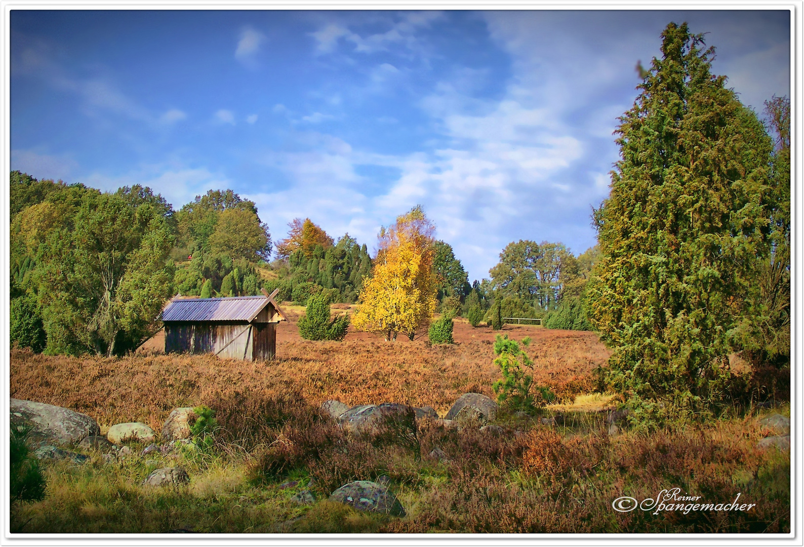 Wenn es Herbst wird in der Heide