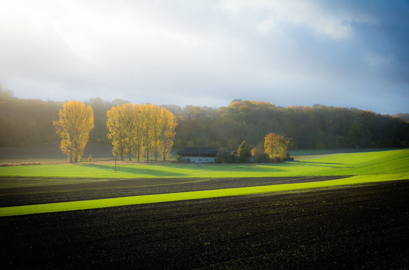 Wenn es Licht wird..