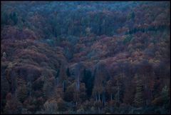 Wenn es Nacht wird am Kandelhang... - oder: Herbstfarben im Blau... (mit Kompositions-Analyse)