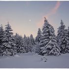 Wenn es Nacht wird auf dem Brocken