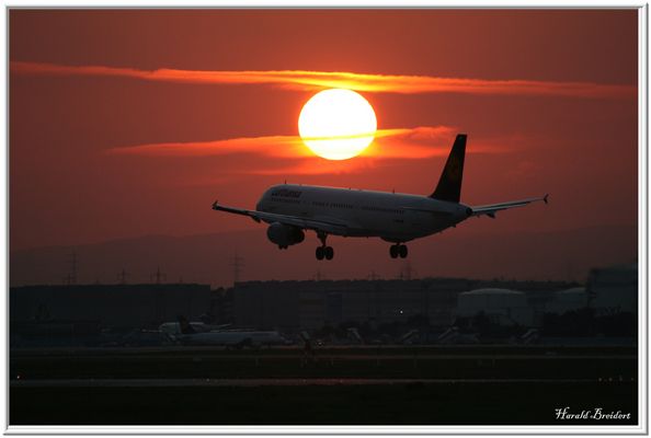Wenn es Nacht wird auf Rhein- Main