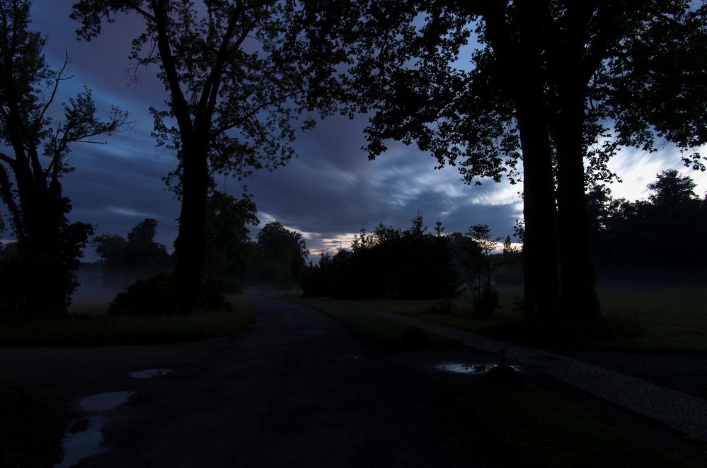 Wenn es Nacht wird im Park...