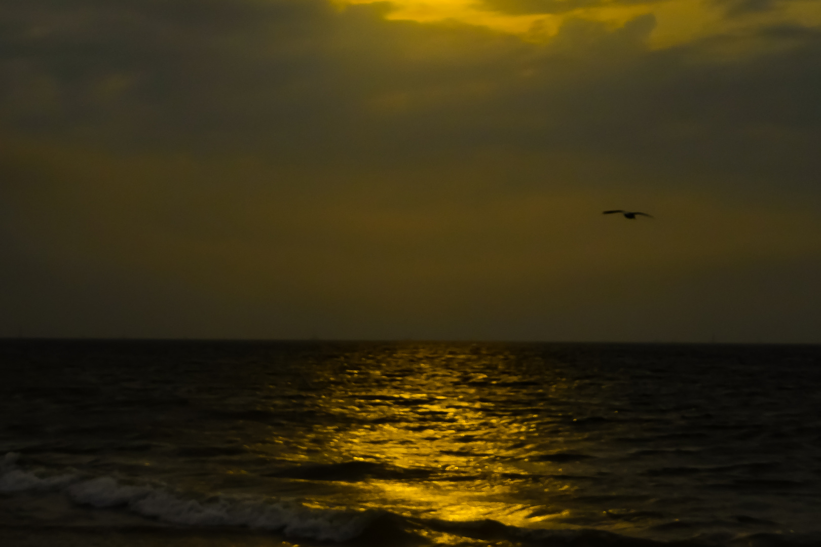 Wenn es Nacht wird ... in Scheveningen