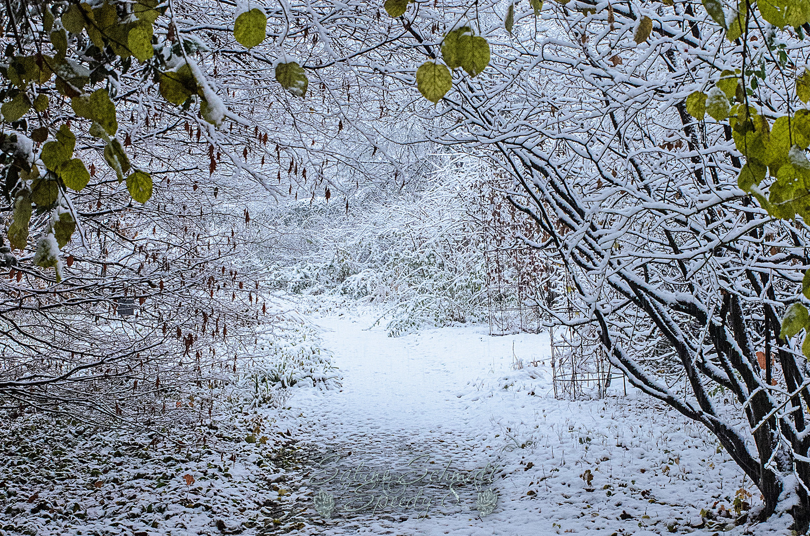 Wenn es schon mal schneit ...