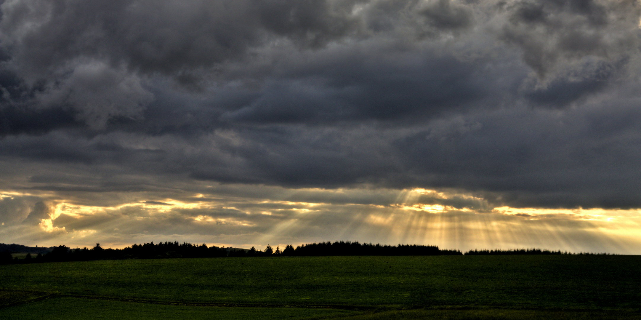 Wenn es Sonne regnet