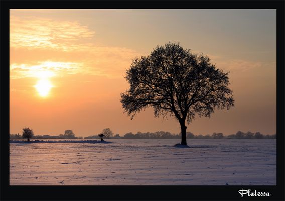 Wenn es still wird...