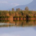 Wenn es still wird am Chiemsee