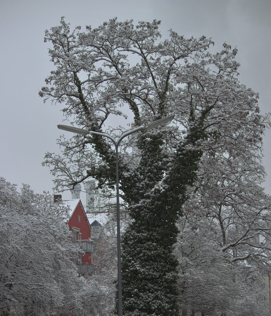 Wenn es Winter wird ...