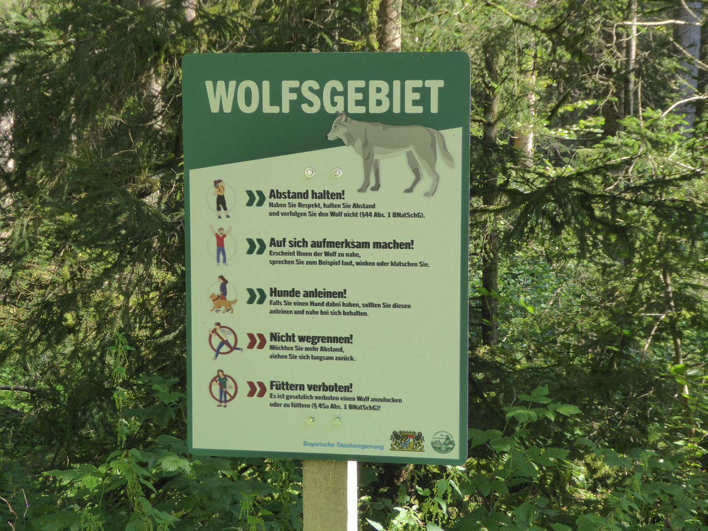 Wenn euch ein Wolf begegnet...