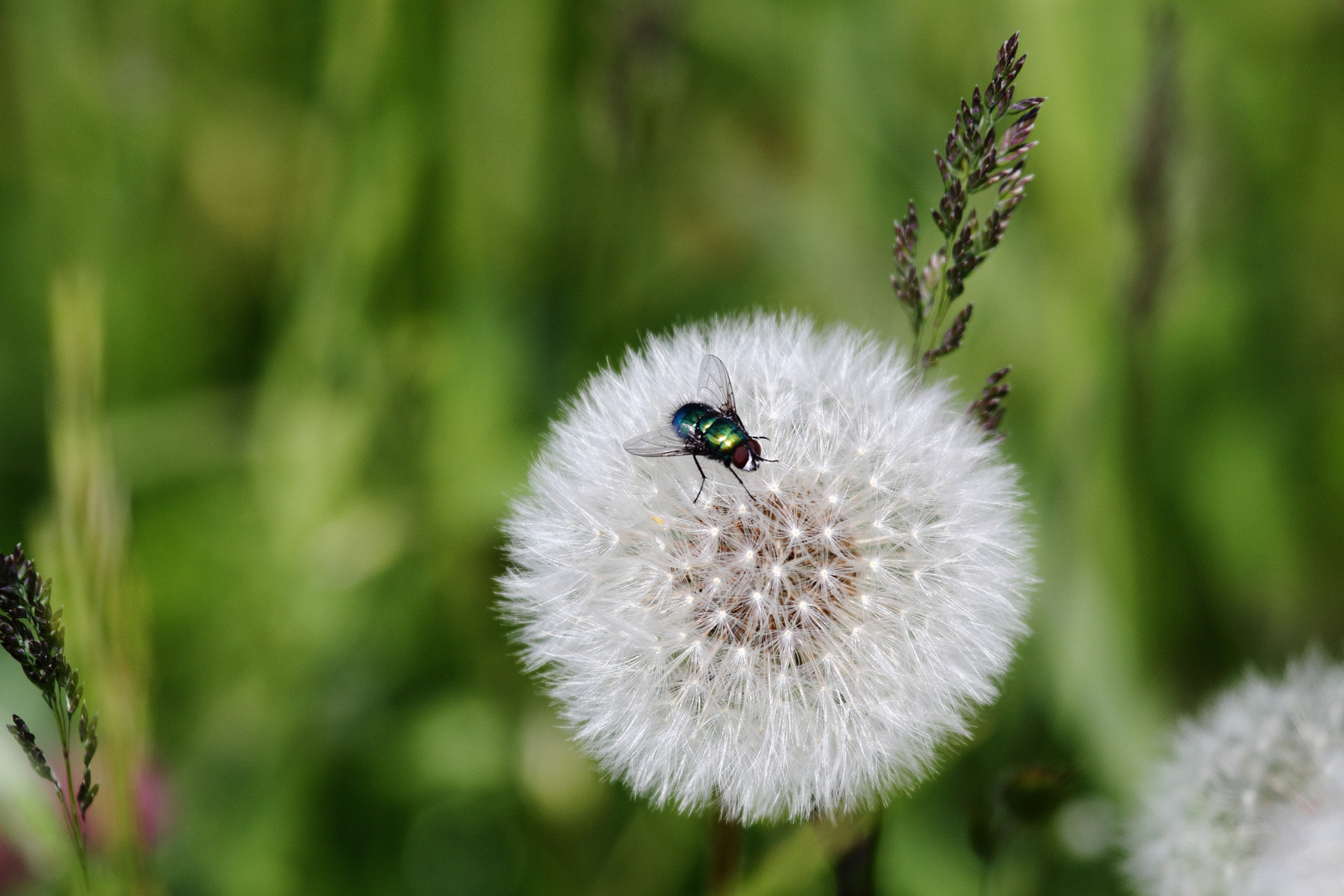  wenn Flieger nicht Fliegen - Airport -INN Lowi -17 5 2019