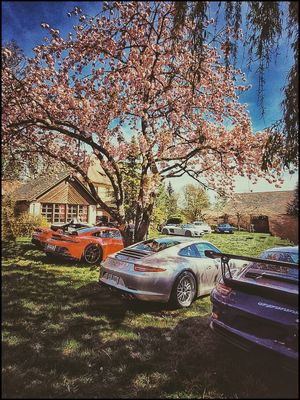 Wenn Geschwindigkeit träumt