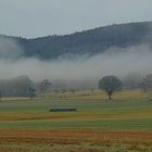 Wenn Herbstnebel ziehen