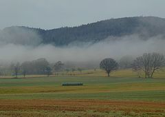 Wenn Herbstnebel ziehen